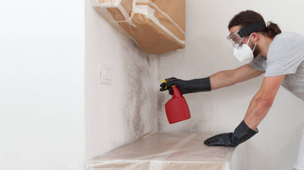 Professional Bathroom Mold Removal technician working in Mears, VA